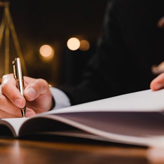 What is the difference between a professional witness and an expert witness?