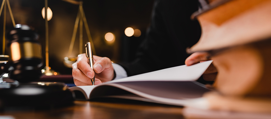 What Is The Difference Between a Professional Witness and an Expert Witness