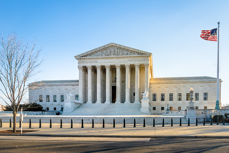 What is a Security Expert Witness