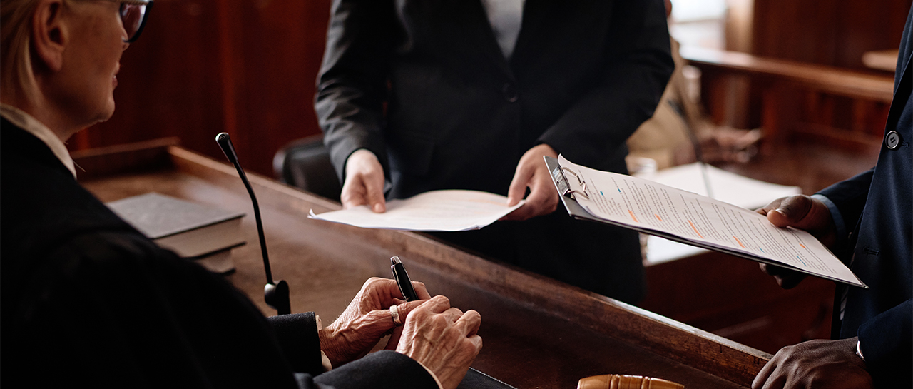 What is the role of a security expert witness