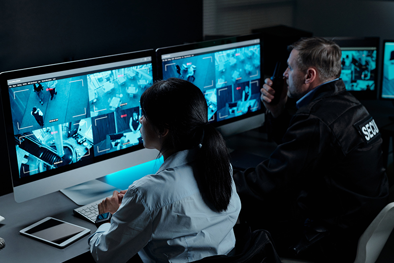 What type of evidence is gathered in a lawsuit by a security expert witness