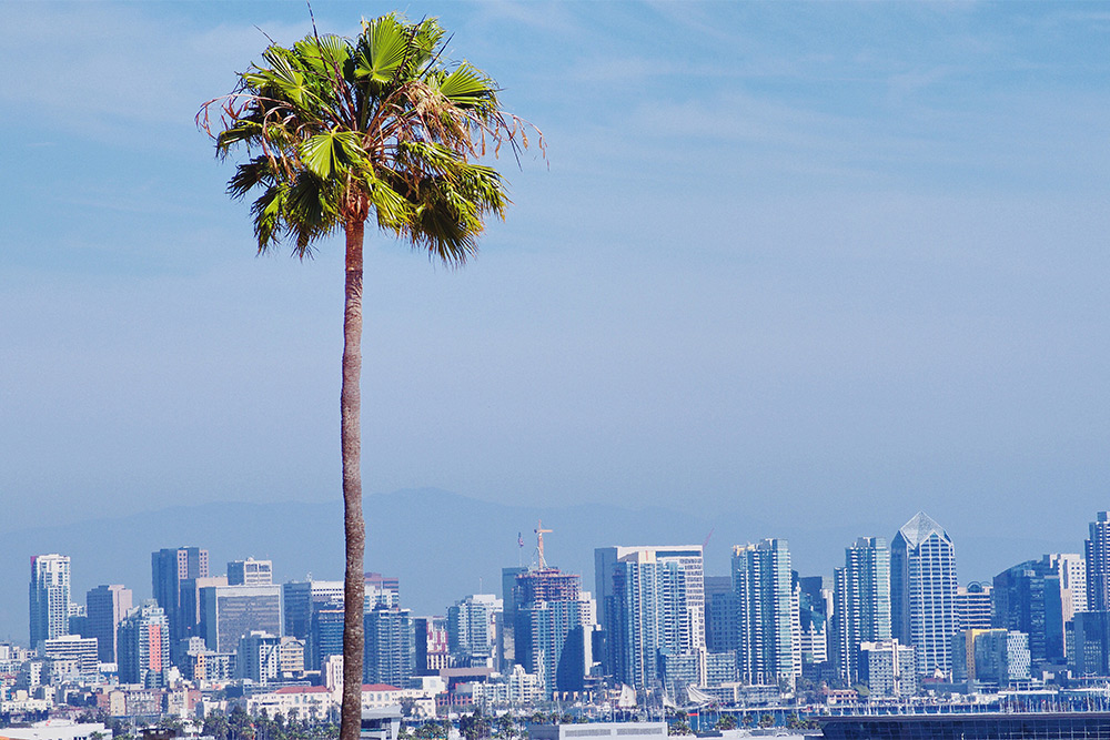 How We Build Defensible Opinions for Legal Cases in California