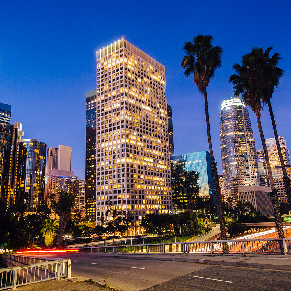 Security Expert Witness in California