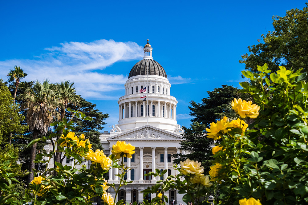 Expert Witness Services in California