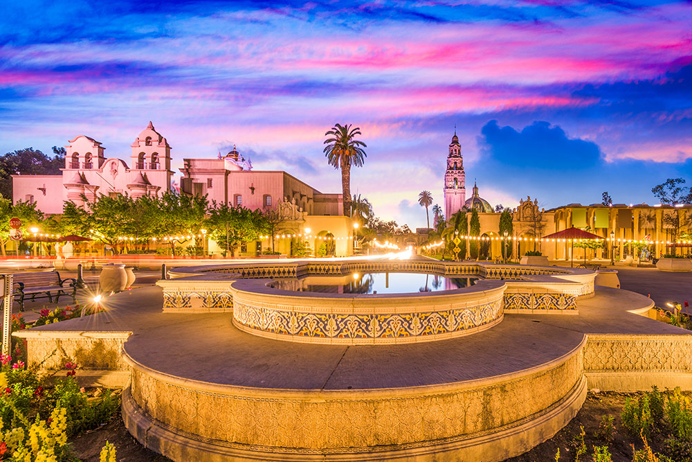 Expert Witness in California