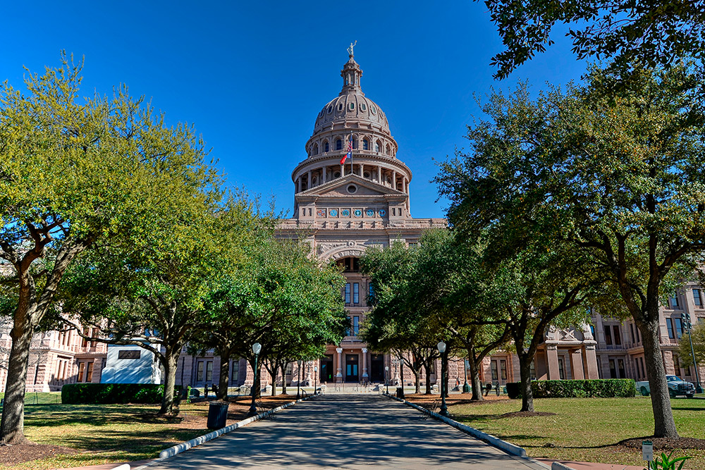 Expert Witness in Texas FAQs