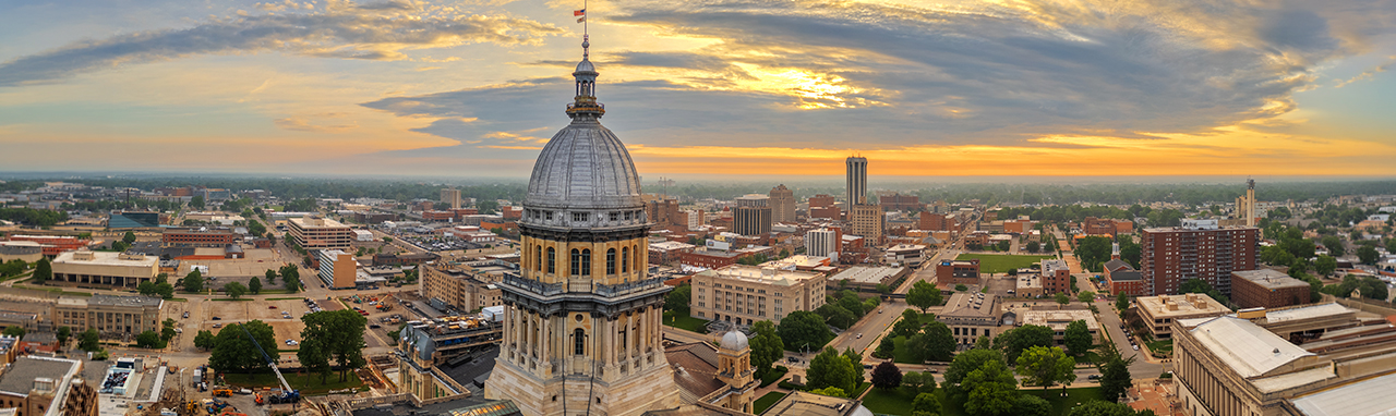 Security Expert Witness Illinois Service Area